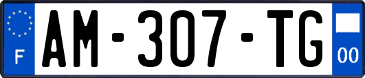 AM-307-TG