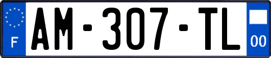 AM-307-TL