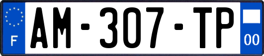 AM-307-TP