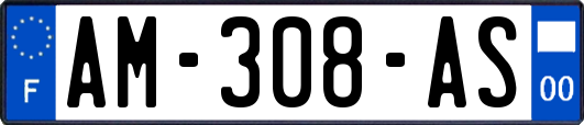 AM-308-AS