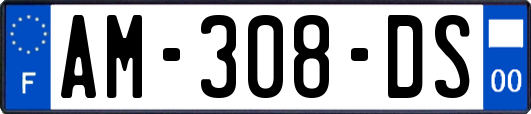 AM-308-DS