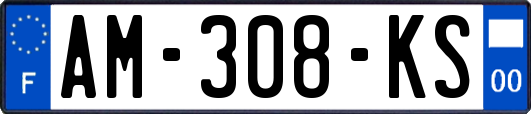 AM-308-KS