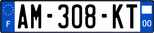 AM-308-KT