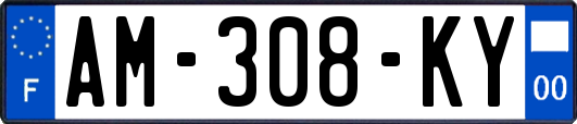 AM-308-KY