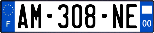 AM-308-NE