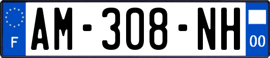 AM-308-NH