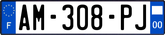 AM-308-PJ