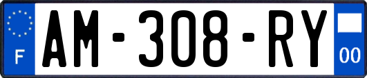 AM-308-RY