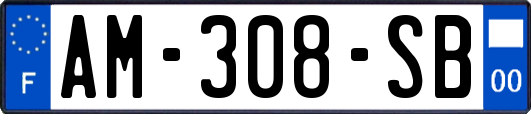 AM-308-SB