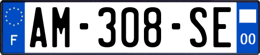 AM-308-SE