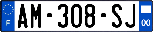 AM-308-SJ