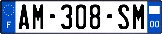 AM-308-SM