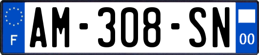 AM-308-SN