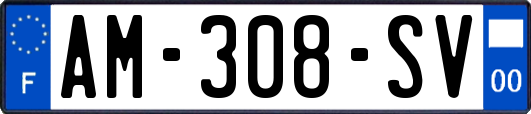 AM-308-SV