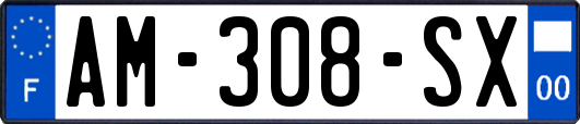 AM-308-SX