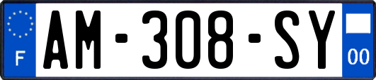 AM-308-SY