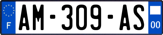 AM-309-AS