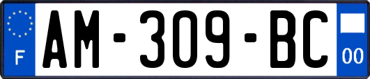 AM-309-BC