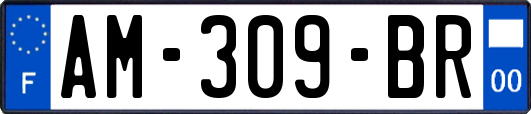 AM-309-BR