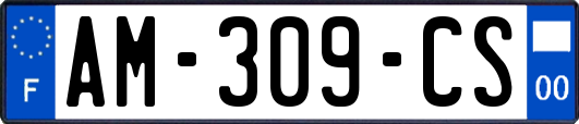 AM-309-CS