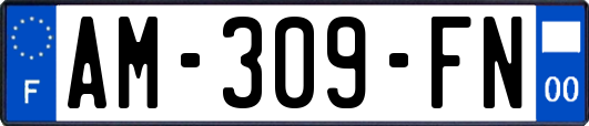 AM-309-FN