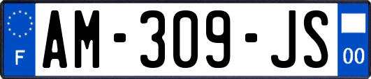 AM-309-JS
