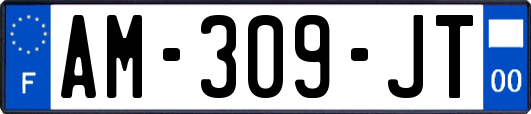 AM-309-JT