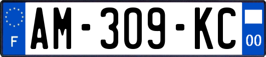AM-309-KC