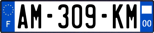 AM-309-KM