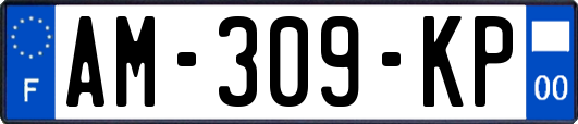 AM-309-KP