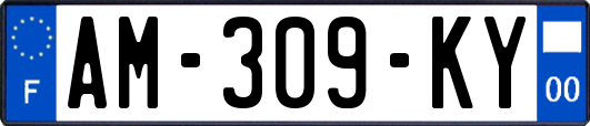 AM-309-KY