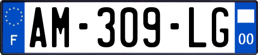AM-309-LG