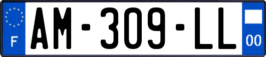 AM-309-LL