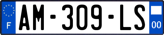 AM-309-LS