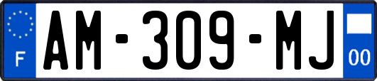 AM-309-MJ