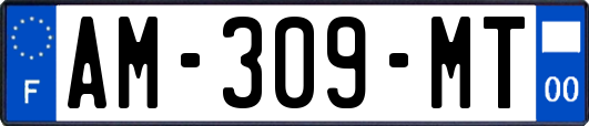 AM-309-MT