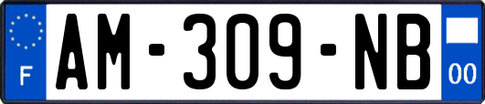 AM-309-NB