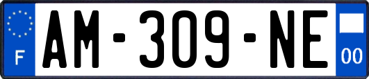 AM-309-NE