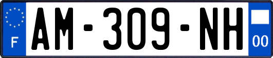 AM-309-NH