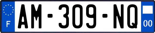 AM-309-NQ