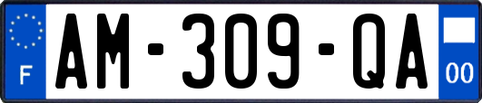 AM-309-QA