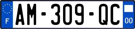 AM-309-QC