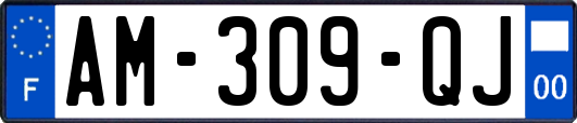 AM-309-QJ