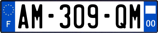 AM-309-QM