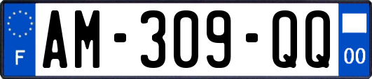 AM-309-QQ