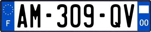 AM-309-QV