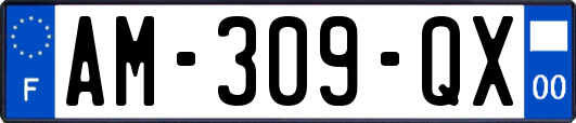 AM-309-QX