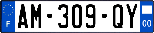AM-309-QY