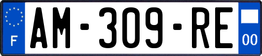 AM-309-RE