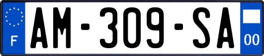 AM-309-SA